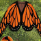 The Papillon Cardigan