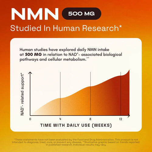 NMN Supplement 1000mg — With TMG, Quercetin & Resveratrol — Supports Cellular Energy & NAD⁺ Levels*