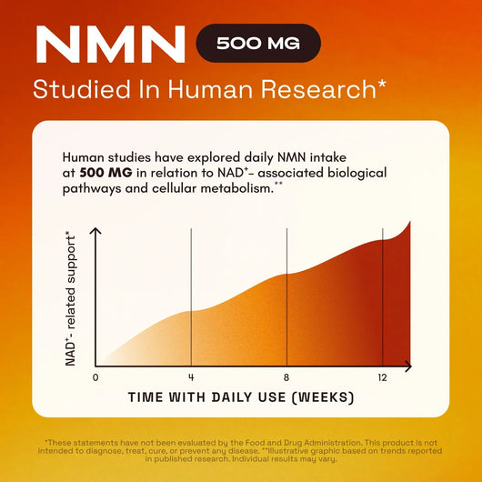NMN Supplement 1000mg — With TMG, Quercetin & Resveratrol — Supports Cellular Energy & NAD⁺ Levels*